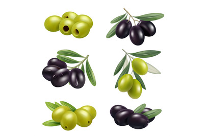 Green olives. Closeup greece authentic food olives branches products i