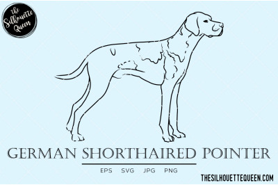 German Shorthaired Pointer Sketch