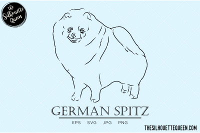 German Spitz Sketch