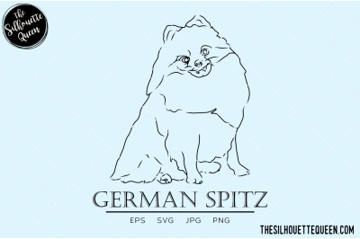 German Spitz Sketch