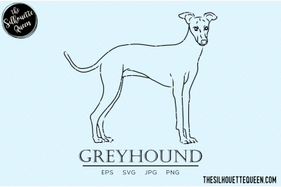 Greyhound Sketch