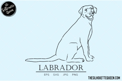 Labrador Sketch