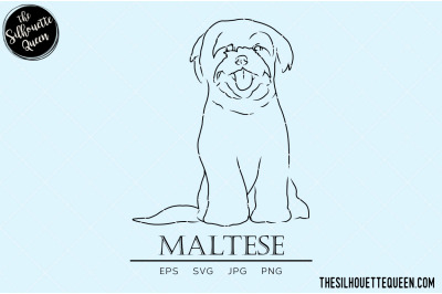 Maltese Sketch