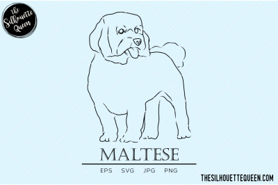 Maltese Sketch