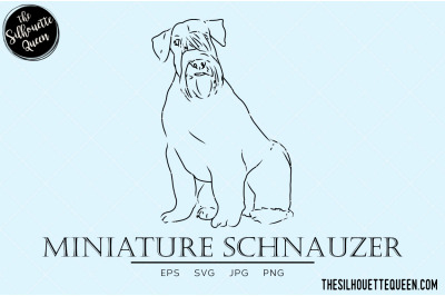 Miniature Schnauzer Sketch