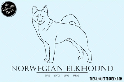 Norwegian Elkhound Sketch