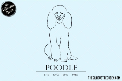 Poodle Sketch