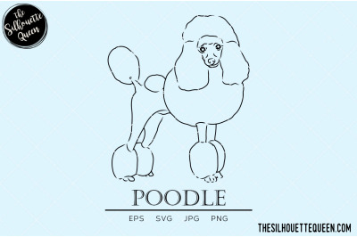 Poodle Sketch