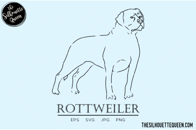 Rottweiler Sketch