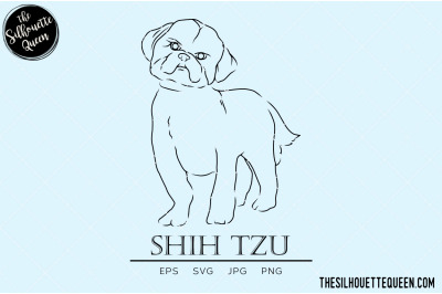 Shih Tzu Sketch