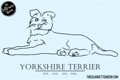 Yorkshire Terrier Sketch