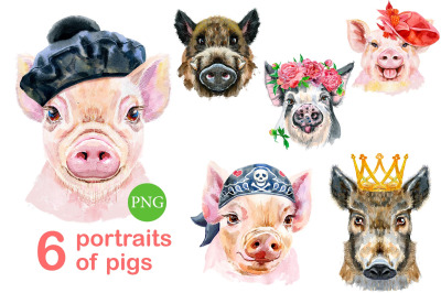 Cute watercolor pigs. Part 5
