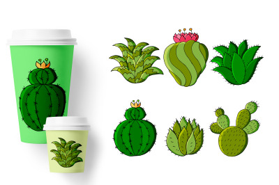 Cacti, aloe, succulents in a creative collection