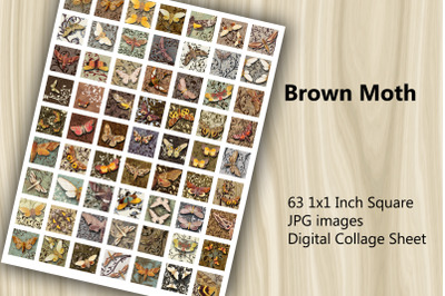 Digital Collage Sheet - Brown Moth