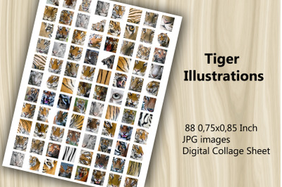 Digital Collage Sheet - Tigers