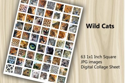 Digital Collage Sheet - Wild Cats