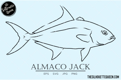 Almaco Jack Hand sketched, hand drawn vector clipart