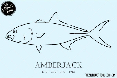 Amberjack Hand sketched, hand drawn vector clipart