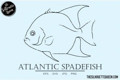 Atlantic Spadefish Hand sketched, hand drawn vector clipart