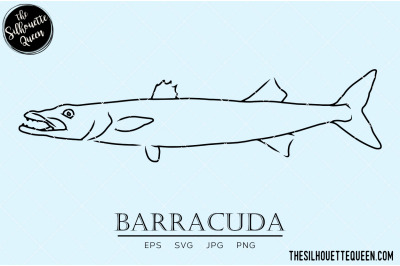 Barracuda Hand sketched, hand drawn vector clipart