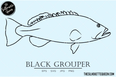 Black Grouper Hand sketched, hand drawn vector clipart