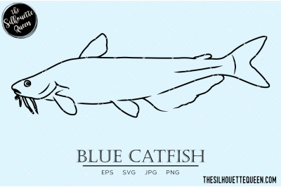 Blue Catfish Hand sketched, hand drawn vector clipart