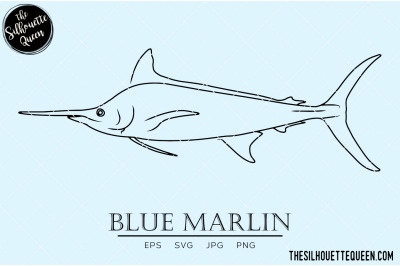 Blue Marlin Hand sketched, hand drawn vector clipart