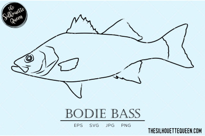 Bodie Bass Hand sketched, hand drawn vector clipart