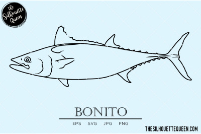 Bonito Hand sketched, hand drawn vector clipart