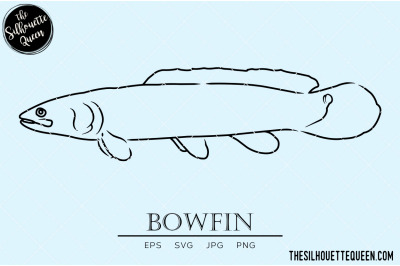 Bowfin Hand sketched, hand drawn vector clipart