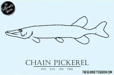 Chain Pickerel Hand sketched&2C; hand drawn vector clipart