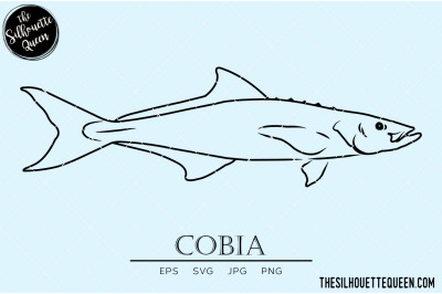 Cobia Hand sketched&2C; hand drawn vector clipart