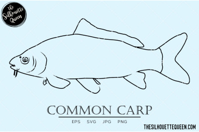 Common Carp Hand sketched&2C; hand drawn vector clipart