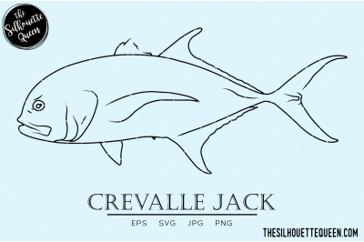 Crevalle Jack Hand sketched, hand drawn vector clipart