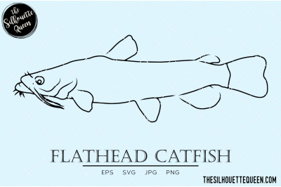 Flathead Catfish Hand sketched&2C; hand drawn vector clipart