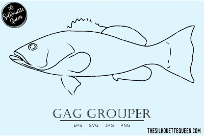 Gag Grouper Hand sketched, hand drawn vector clipart