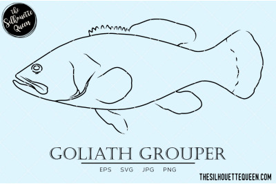 Goliath Grouper Hand sketched, hand drawn vector clipart