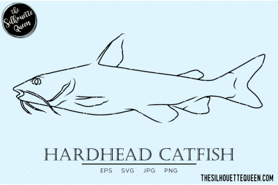 Hardhead Catfish Hand sketched, hand drawn vector clipart