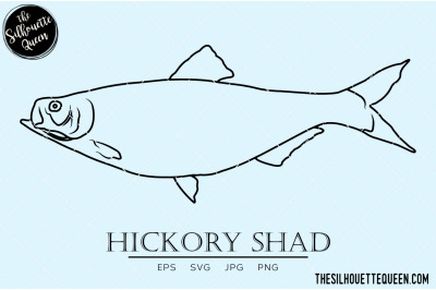 Hickory Shad Hand sketched, hand drawn vector clipart