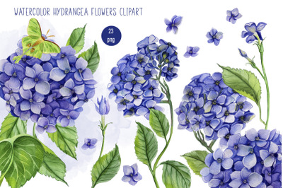 Watercolor Hydrangea Flowers Clipart. Blue hydrangea