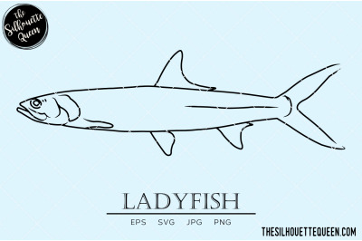 Ladyfish Hand sketched, hand drawn vector clipart