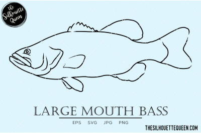 Large Mouth Bass Hand sketched, hand drawn vector clipart