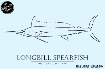 Longbill Spearfish Hand sketched, hand drawn vector clipart