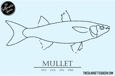 Mullet Hand sketched, hand drawn vector clipart