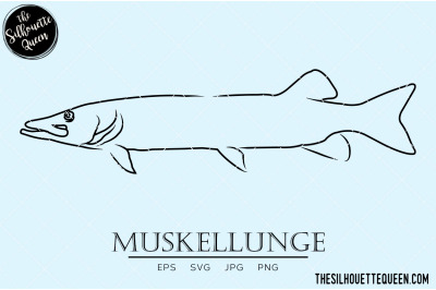 Muskellunge Hand sketched, hand drawn vector clipart