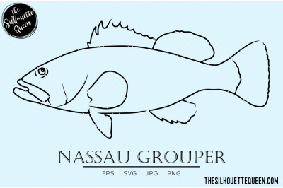 Nassau Grouper Hand sketched, hand drawn vector clipart