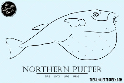 Northern Puffer Hand sketched, hand drawn vector clipart