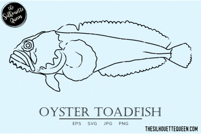 Oyster Toadfish Hand sketched, hand drawn vector clipart