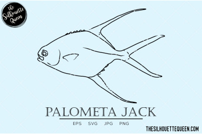 Palometa Jack Hand sketched, hand drawn vector clipart