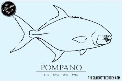 Pompano Hand sketched, hand drawn vector clipart